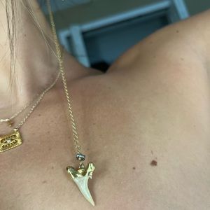 18k Jessica M Rocks Gold Shark tooth Necklace